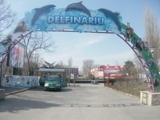 Festival Eco Handmade Think Green 2012 la Delfinariu